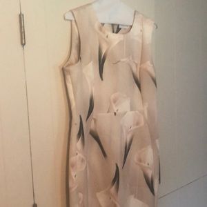 This is Calvin Kline Sleeveless Dress.